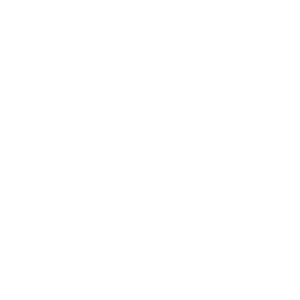 Icons Besonderheiten Von Schweng Wetterschutz
