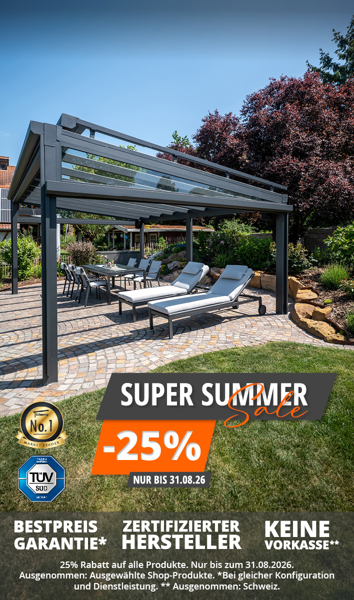 Aktion August 2026 V2 Website Hoch